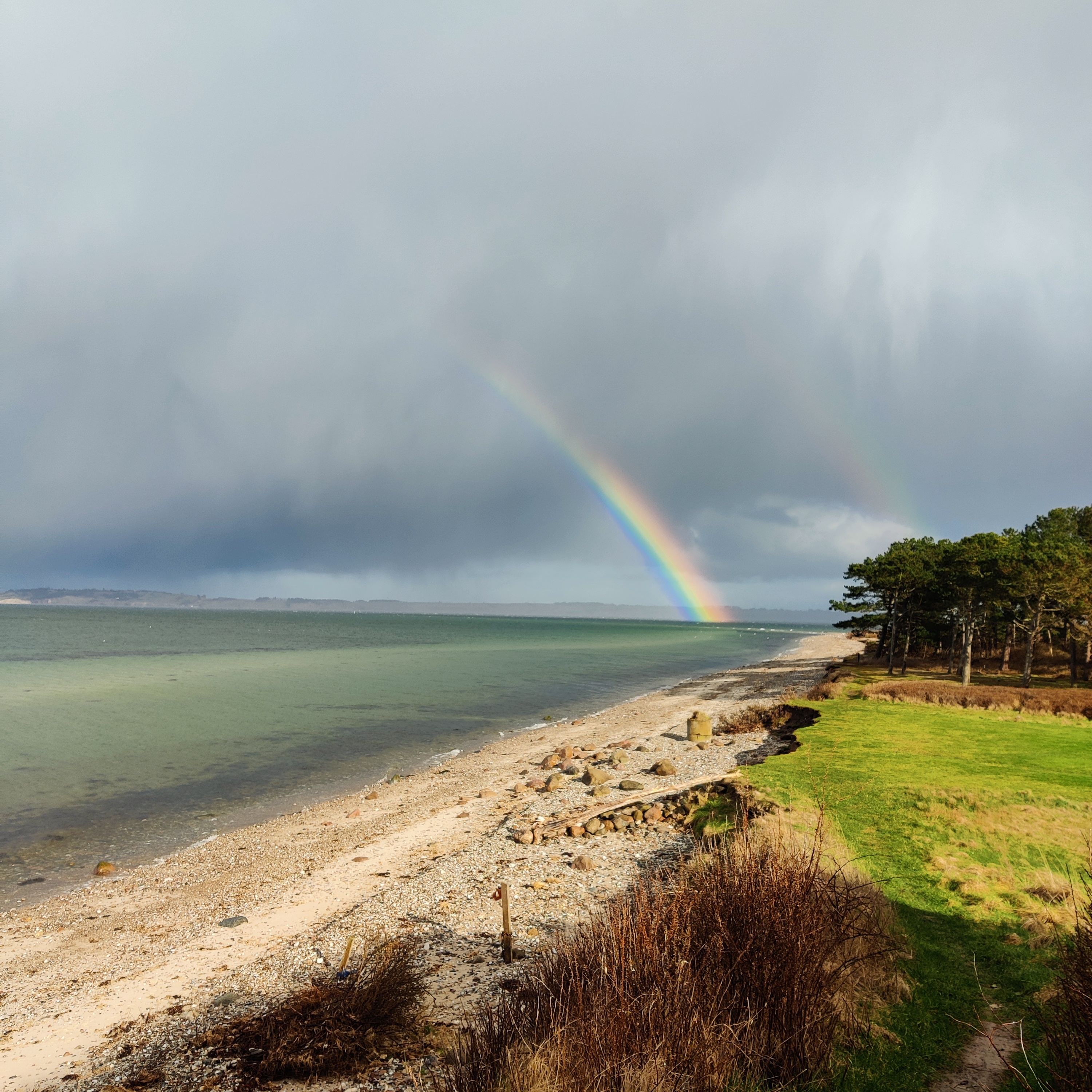 Nyd den smukke natur ved stranden