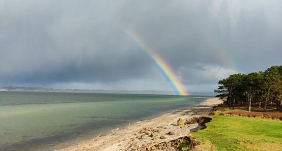 Nyd den smukke natur ved stranden